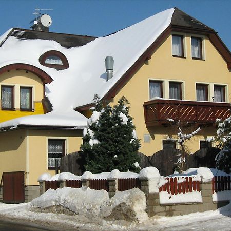 Penzion Albina - Restaurace Vysoké nad Jizerou 外观 照片