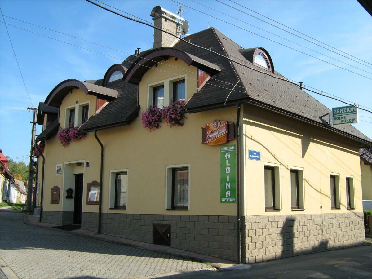 Penzion Albina - Restaurace Vysoké nad Jizerou 外观 照片